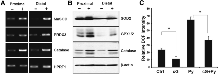 Figure 4