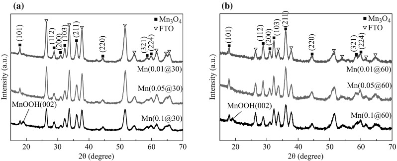 Fig. 1