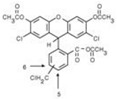 graphic file with name metabolites-11-00802-i002.jpg