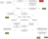 Supplementary Figure 1