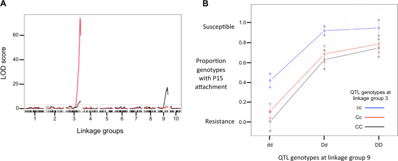 Fig. 4