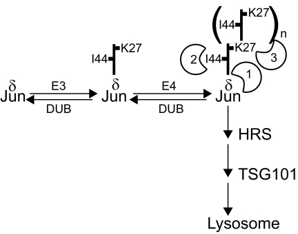 Figure 9.