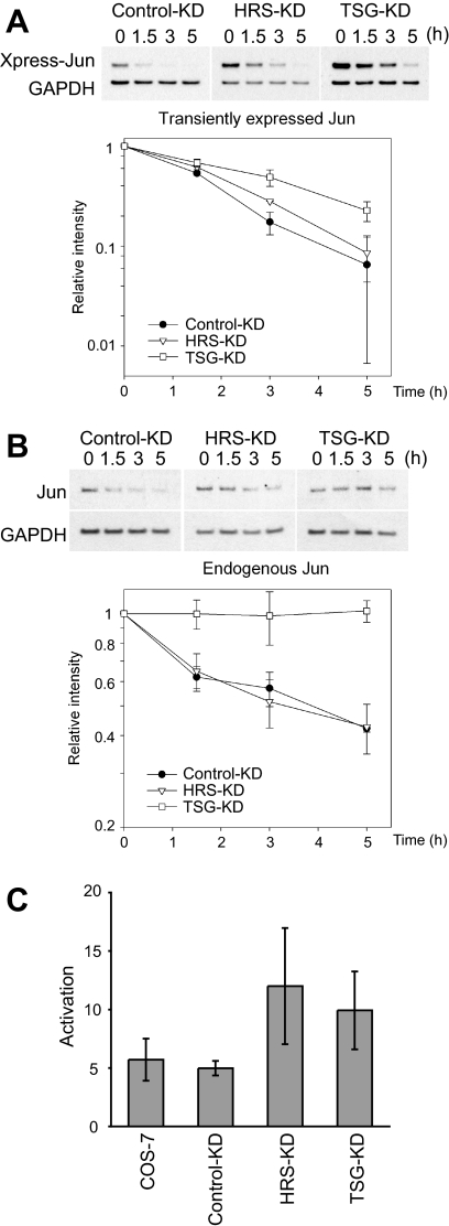 Figure 7.