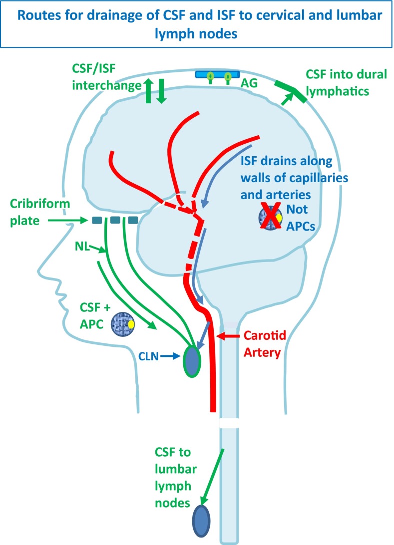 Fig. 1