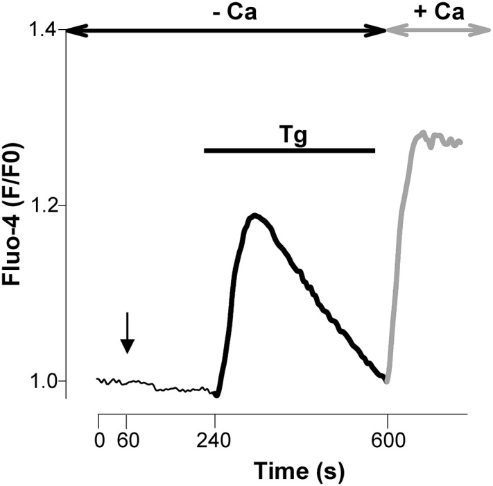 FIGURE 2