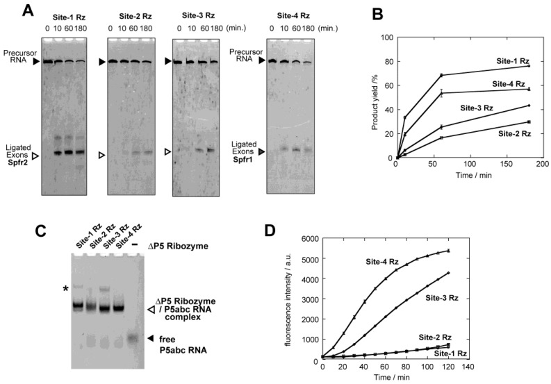 Figure 5