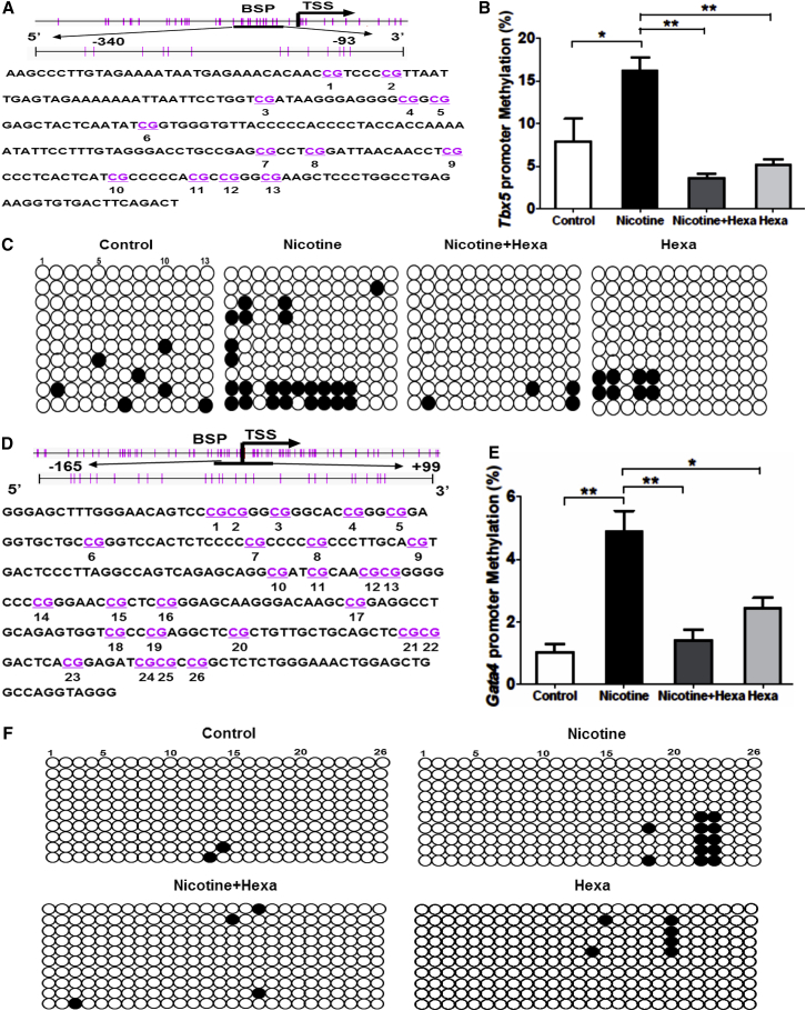 Figure 6