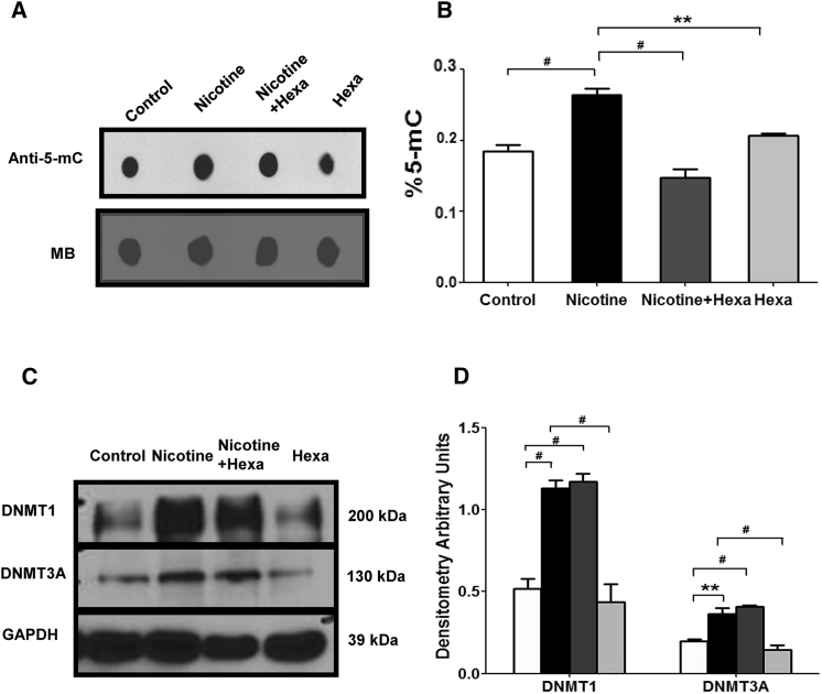 Figure 3