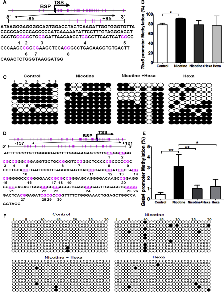 Figure 4