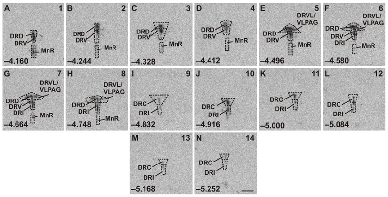 Figure 2.