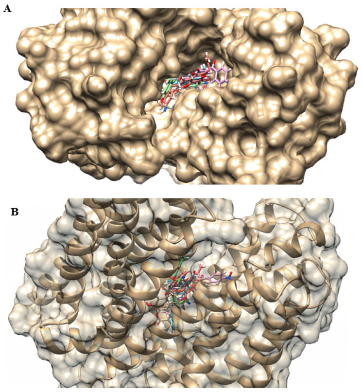 Figure 5