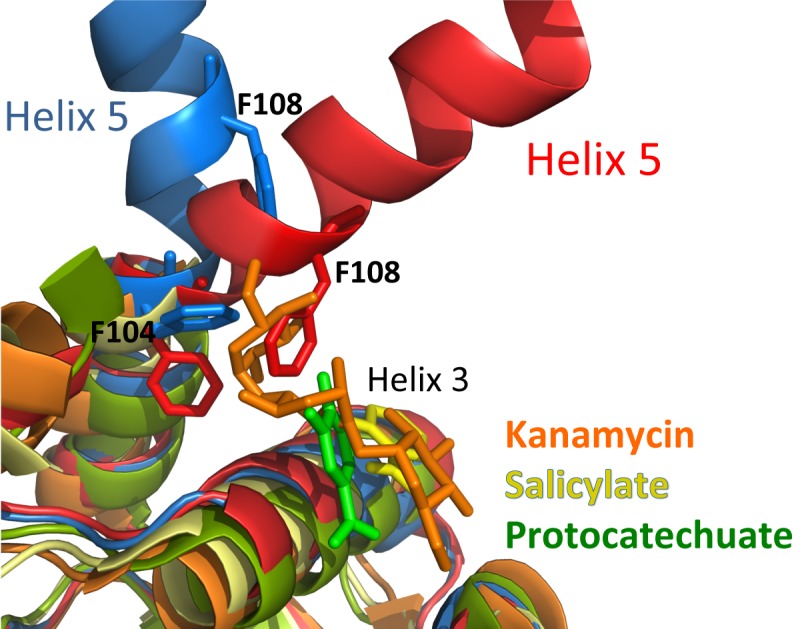 FIG 5 