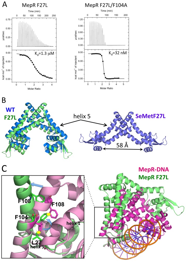 FIG 3 