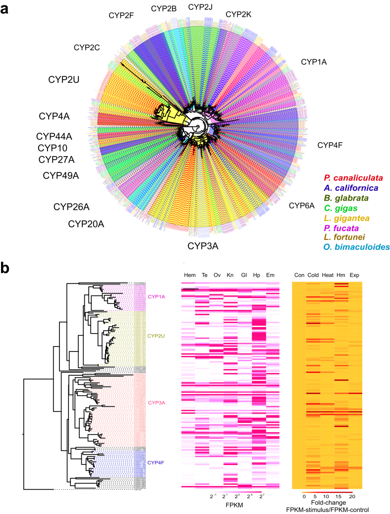 Figure 4: