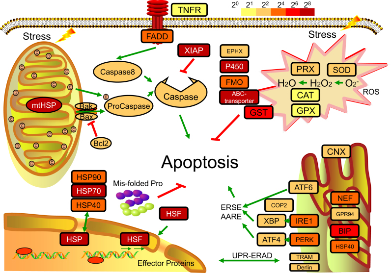 Figure 3: