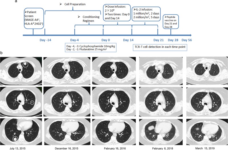 Fig. 4