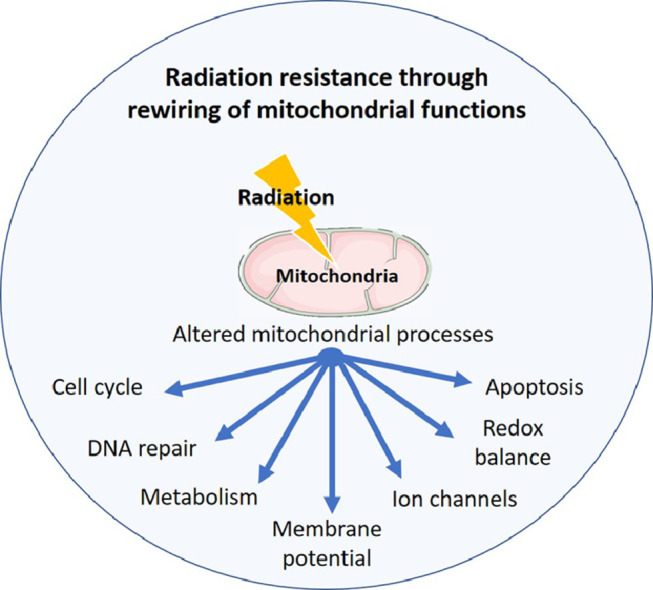 Image, graphical abstract