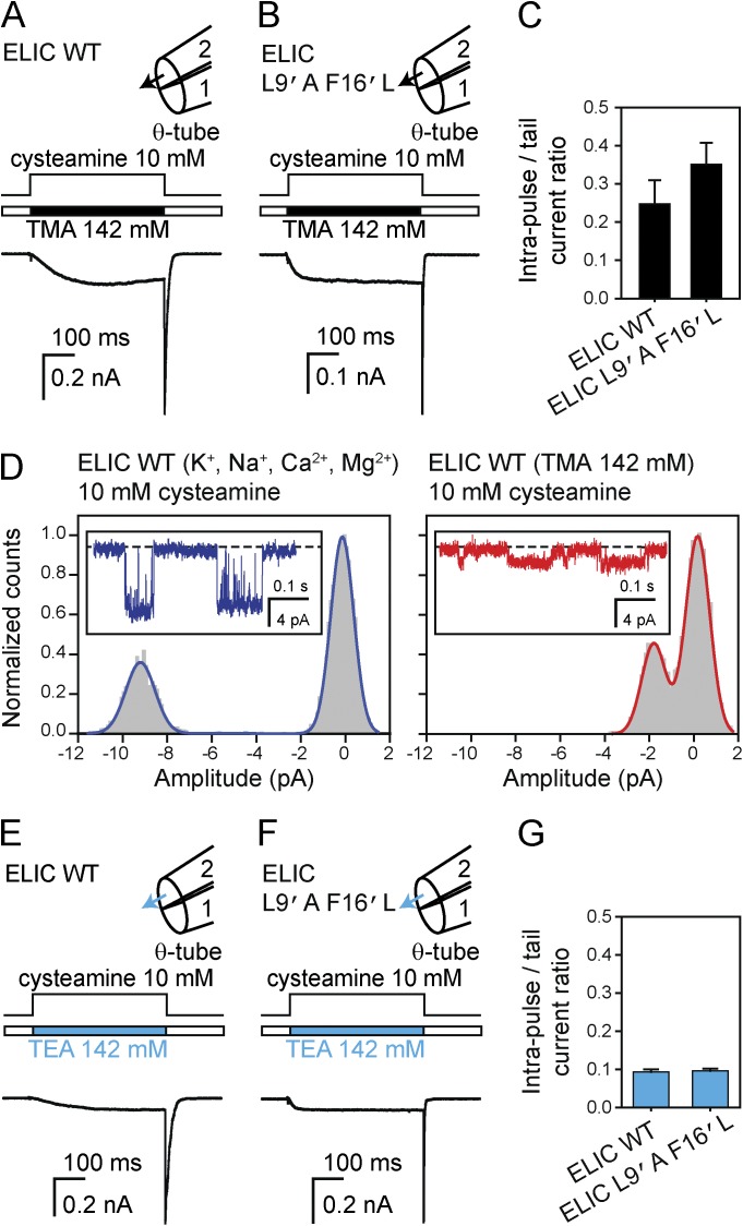 Figure 12.