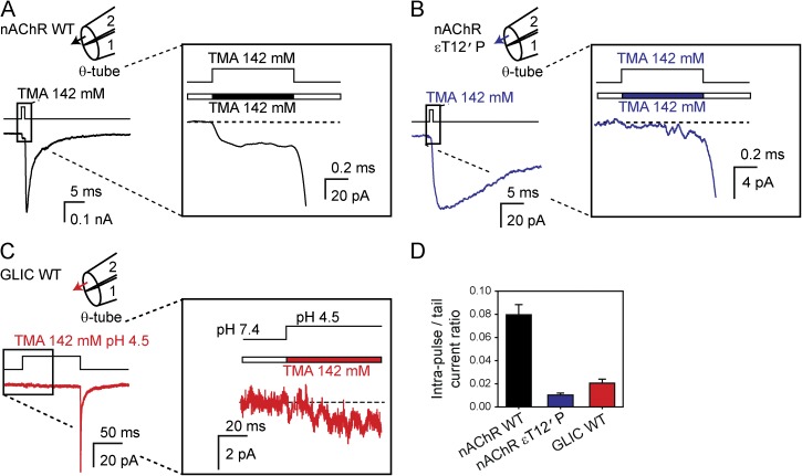 Figure 11.