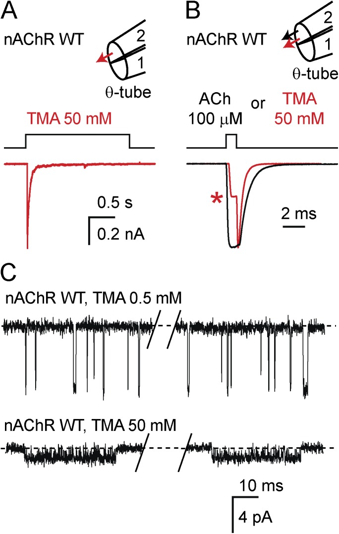 Figure 10.