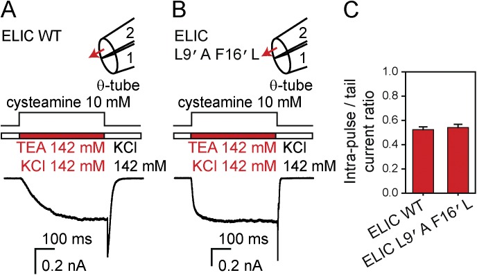 Figure 13.