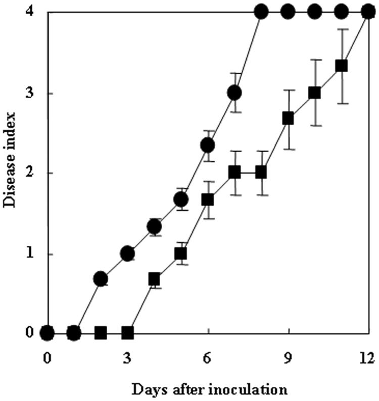 FIG. 5.