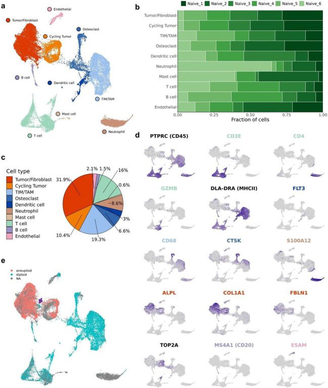 Single-cell Rna Sequencing Reveals The Cellular And Molecular 