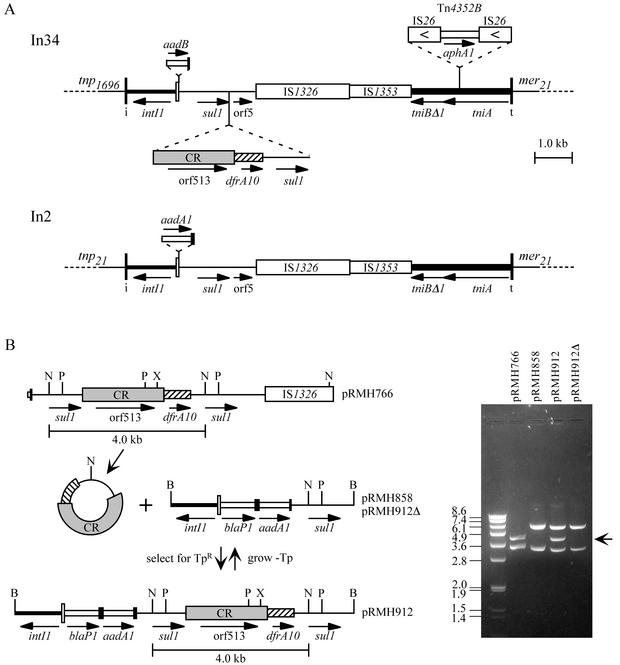 FIG. 3.