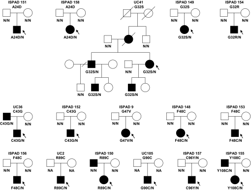 Fig. 1.