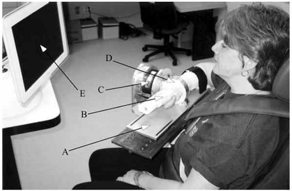 Fig. 1