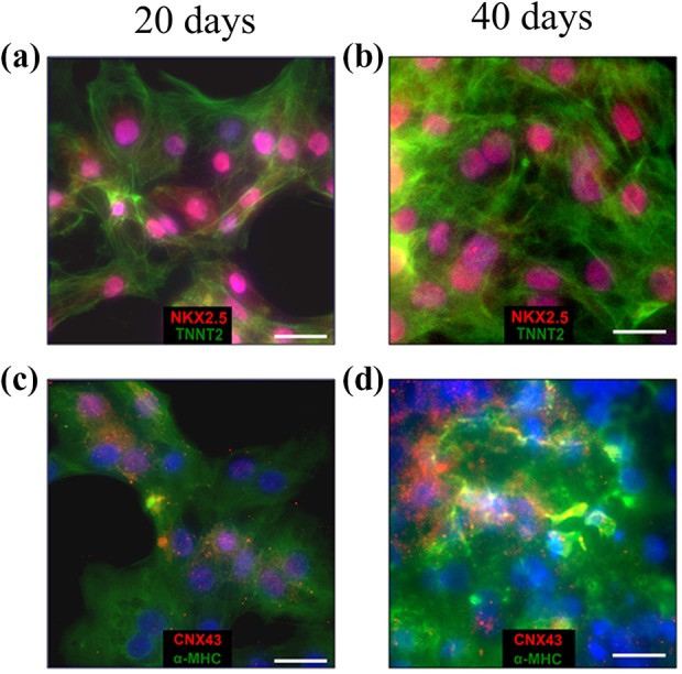 Figure 6.