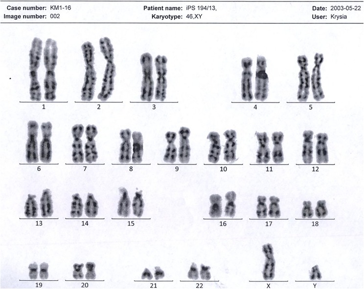 Figure 3.