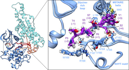 Fig. 4