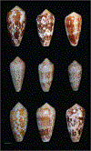 FIG. 12.