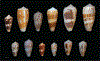 FIG. 20.