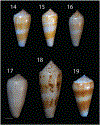 FIGS. 14–19.