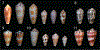 FIGS. 7–11.