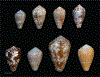 FIG. 22.