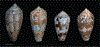 FIG. 21.