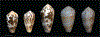 FIG. 23.