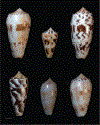 FIG. 6.