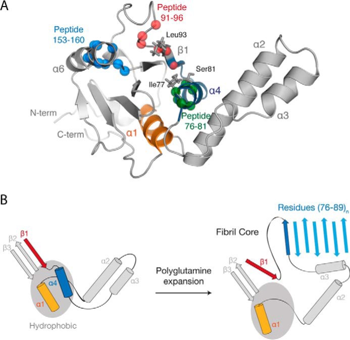 FIGURE 10.