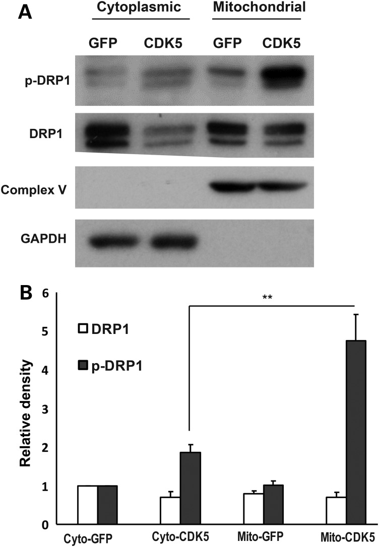 Figure 4.