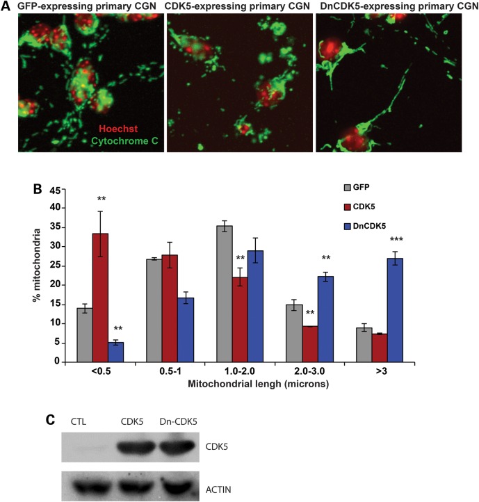 Figure 3.