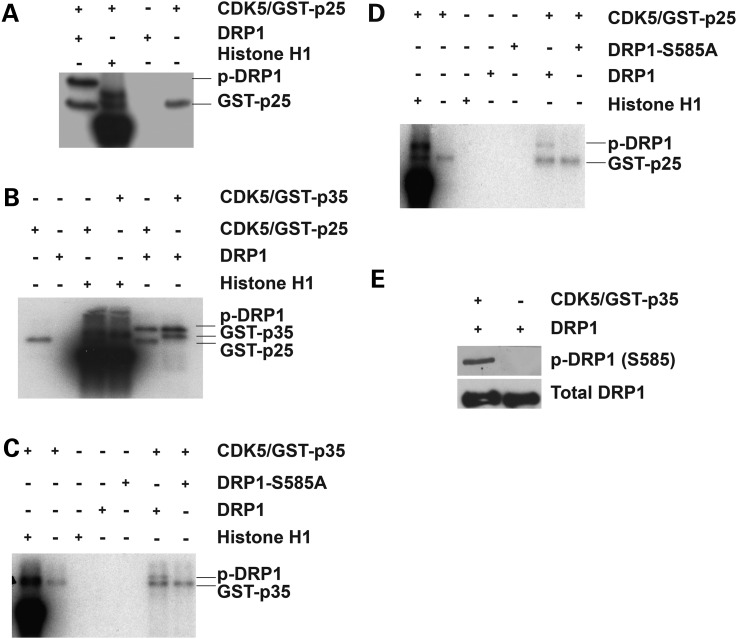 Figure 1.