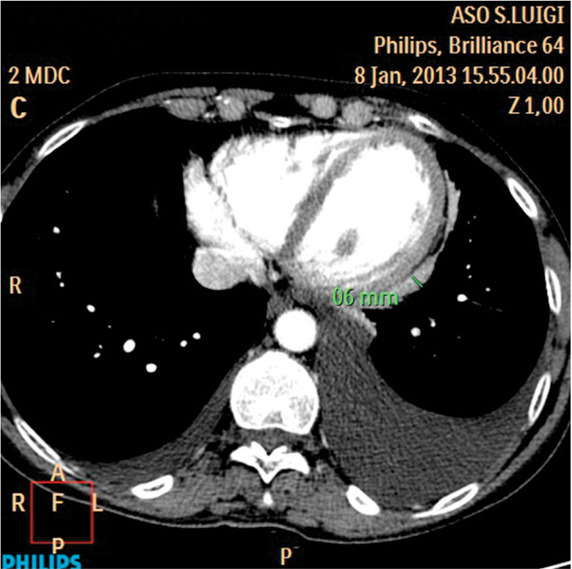 Fig. 5