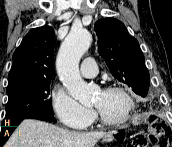 Fig. 7