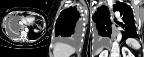 Fig. 8