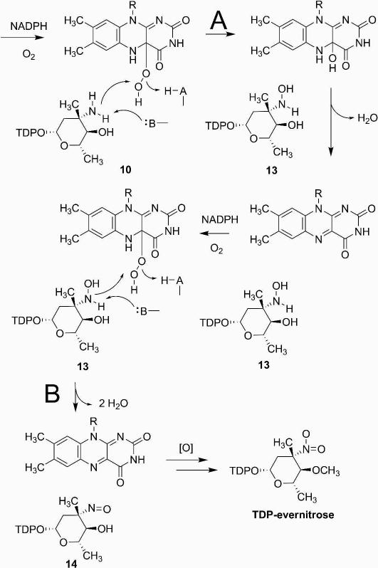 Figure 9