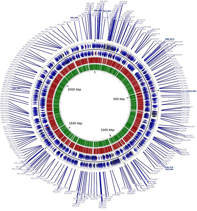 graphic file with name nihms-1710968-f0003.jpg